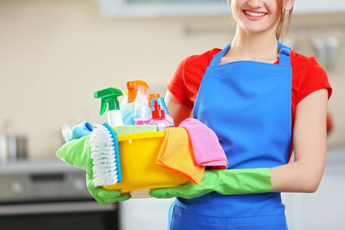 Curtain cleaning in South Croydon for fresh, dust-free window treatments