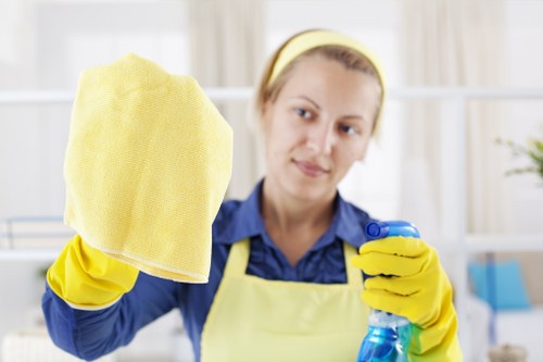 Professional mattress cleaning in a South Croydon bedroom