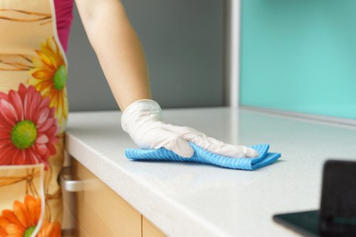 Professional carpet cleaning in a South Croydon home living room