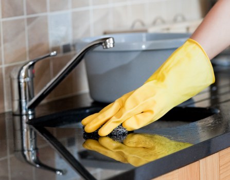 Pet stain odour removal service treating a carpet in South Croydon