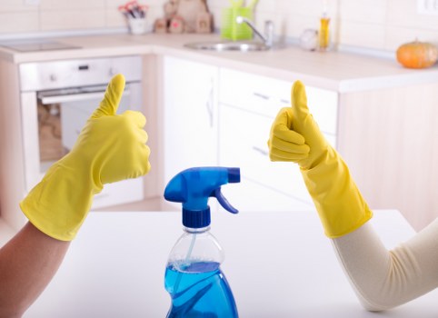 Professional carpet cleaning in a living room