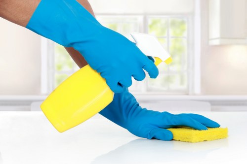Low-carbon vans used for South Croydon carpet cleaners