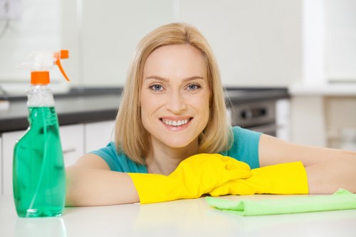 Deep mattress cleaning process with extraction equipment
