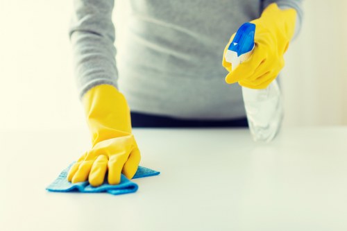 Deep cleaning a fabric sofa with specialist equipment