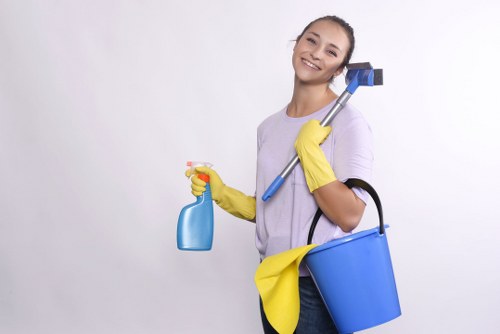 Steam cleaning carpets in South Croydon