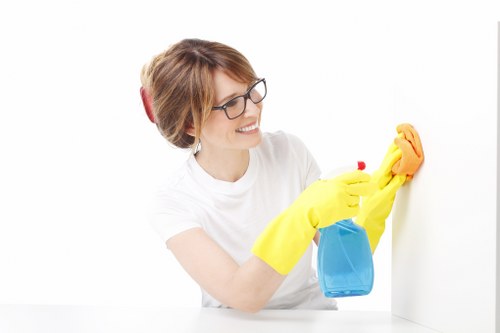 Upholstery cleaning process for sofas and chairs