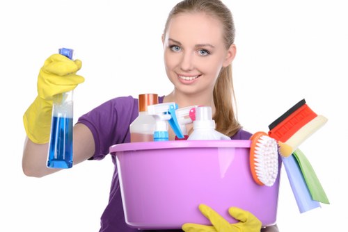 Sustainable carpet cleaning services in South Croydon