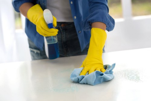 Mattress cleaning appointment in South Croydon bedroom