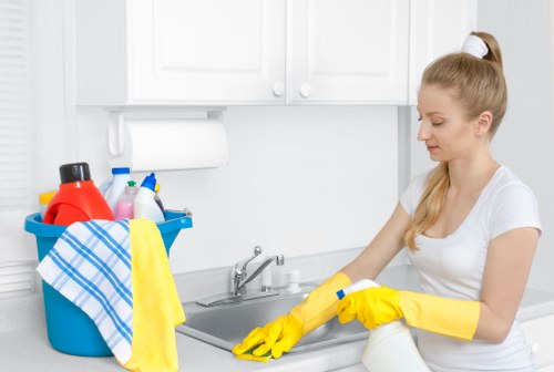 Upholstery and carpet stain removal service in South Croydon